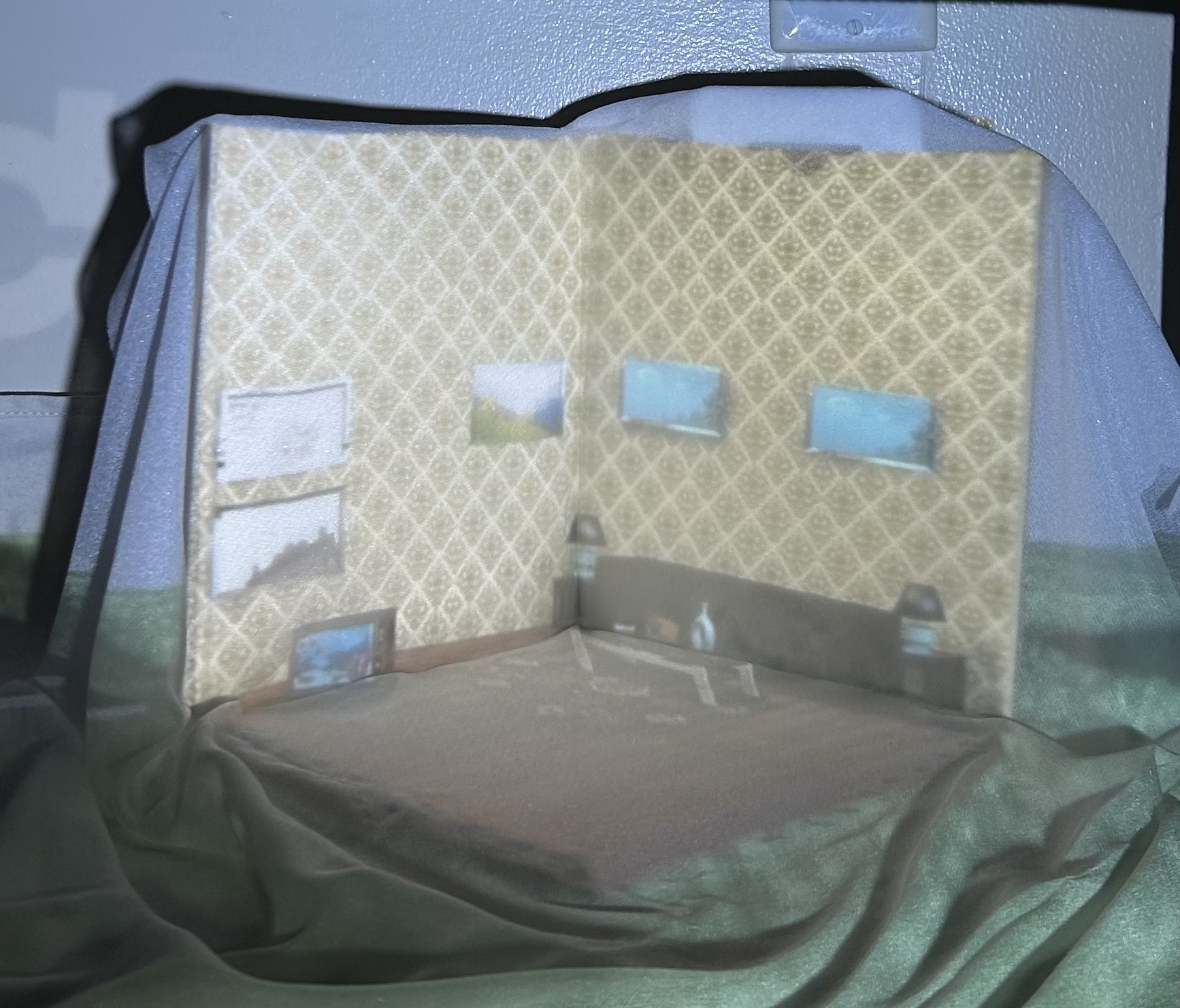Cardboard and fabric — projection too washed out
